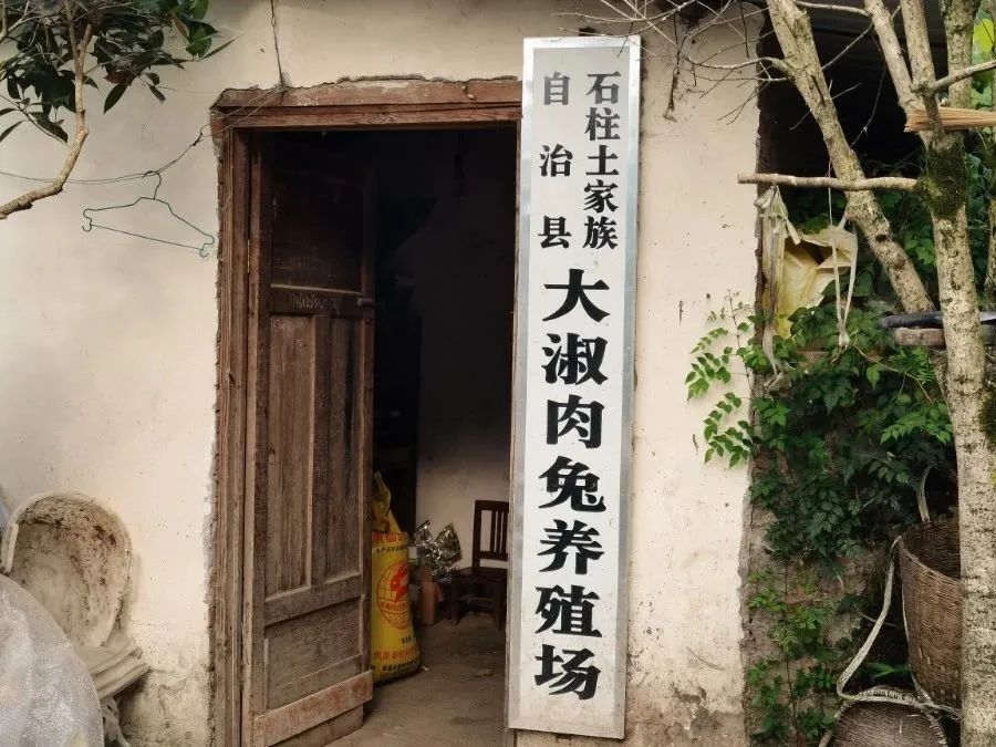 undefined 图片